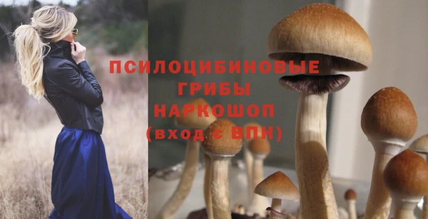 хмурый Гусев