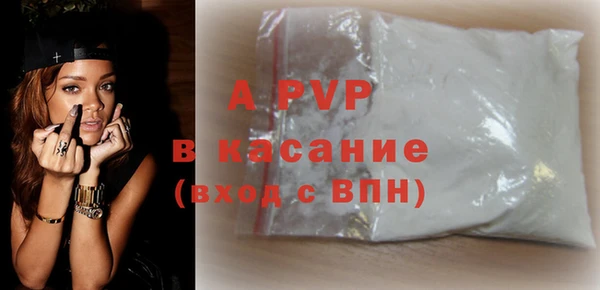 амф Гусиноозёрск