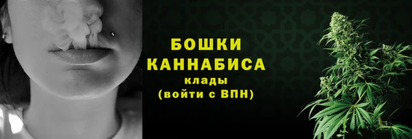 амф Гусиноозёрск