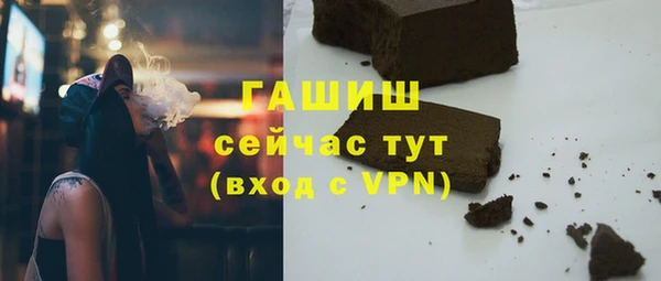 прущий лед Дмитриев