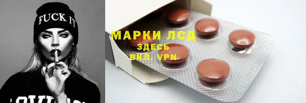 амф Гусиноозёрск