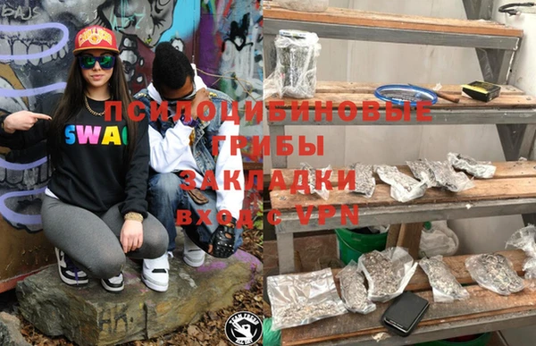 амф Гусиноозёрск