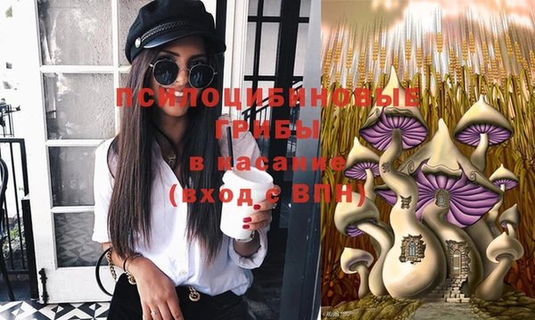 2c-b Гусь-Хрустальный