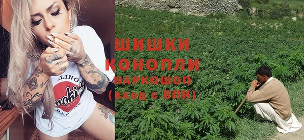 хмурый Гусев